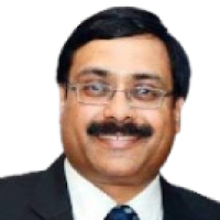 Vice - Chairman, Corporate Laws Committee